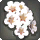 벚꽃 머리장식: 하양